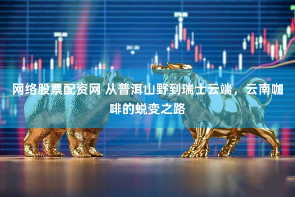 网络股票配资网 从普洱山野到瑞士云端，云南咖啡的蜕变之路