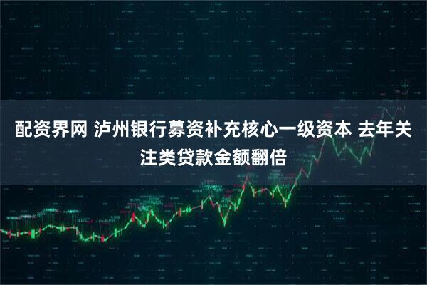 配资界网 泸州银行募资补充核心一级资本 去年关注类贷款金额翻倍