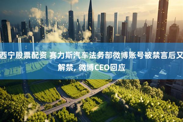 西宁股票配资 赛力斯汽车法务部微博账号被禁言后又解禁, 微博CEO回应