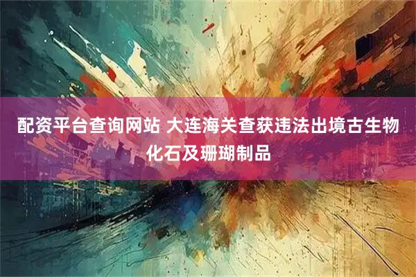 配资平台查询网站 大连海关查获违法出境古生物化石及珊瑚制品