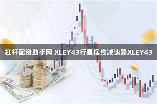 杠杆配资助手网 XLEY43行星摆线减速器XLEY43